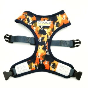 88157930_807056726464601_7609173900810780672_n_22f47712-8f6c-4c14-97ff-361b0340fce9